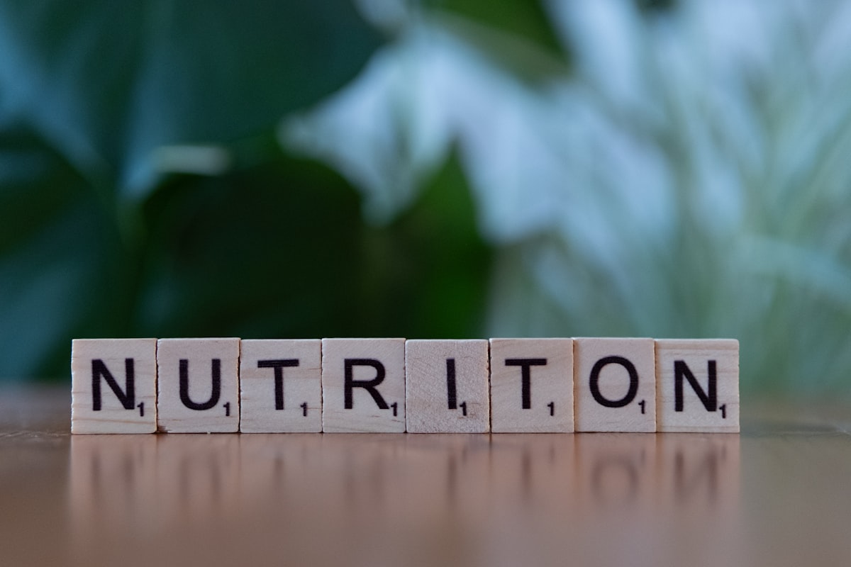 Nutrition consultation session with expert